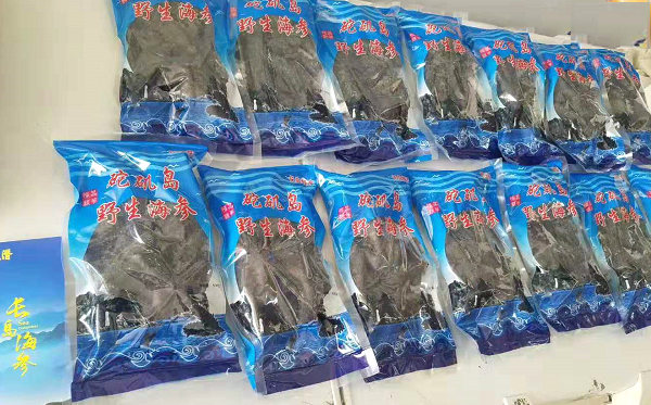 淺海與底播的環(huán)境差異——刺參自然生長(zhǎng)與增殖放流的生態(tài)邏輯